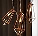 LuxLumi Diamonds are Forever Rose String Lights Gold & Wire Caged Soft White 20 LED Rustic Farmhouse Bedroom Nursery Dorm Home Décor Teen Kids Baby Fall Decorations (10.5FT)