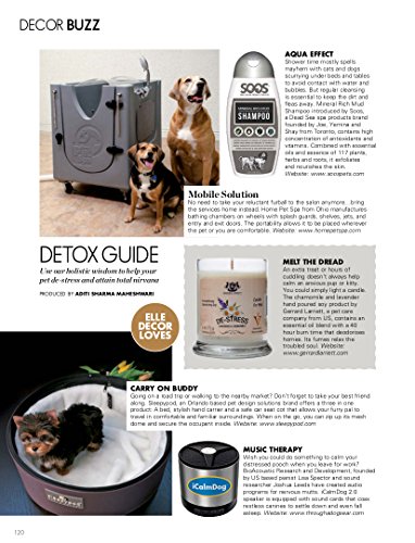 Wildwoods (Cedarwood & Vanilla) Aromatherapy Deodorizing Soy Candle For Pets, Candles Scented, Pet Odor Eliminator & Animal Lover Gift - 6 OZ (170 g)