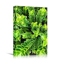 Canvas Wall Art Organic Arrangement Abstract Colorful Contemporary Hallway Mixed Media Multicolor Patterns - 12x18 inches