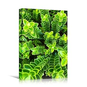 signwin Canvas Wall Art Organic Arrangement Abstract Colorful...