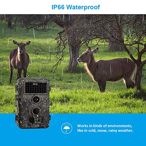 Meidase Game Trail Camera 20MP 1080P, 0.2s Trigger Time Motion Activated, No Glow Night Vision, IP66 Waterproof Cam for Nature Wildlife Deer Scouting & Hunting, Home & Outdoor Security - Thumbnail 5