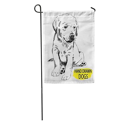 Amazoncom Semtomn Garden Flag Dog Labrador Puppy Sitting