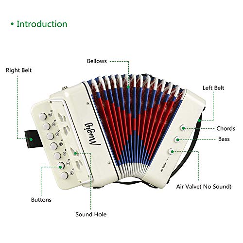 1 Mugig+Accordion+Instrument+Childhood+Teaching