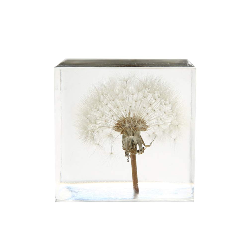 VOSAREA 3D Dandelion Crystal Glass Cube Transparent Desktop Statue Ornament For Birthday Wedding Valentine Home Decor