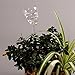Automatic Flower Slow Drip Watering Hand Blown Glass Skull Shaped Plant Self Watering System Irrigation for Indoor Balcony House Lawn Water Container Small Potted Plant Waterer Decoration (Skull)thumb 2