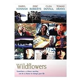 Wildflowers