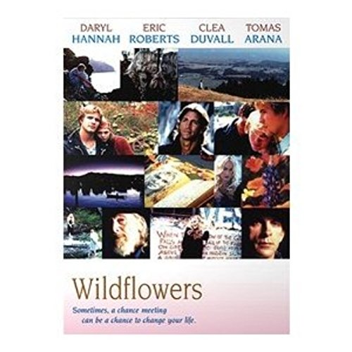 Wildflowers