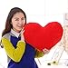 Coxeer Throw Pillows Heart Shape Decorative Pillows Best Pillow for Valentine's Day