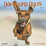 Dachshund Rules 2020 Mini Wall Calendar (Dog Breed Calendar) by