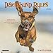 Dachshund Rules 2020 Mini Wall Calendar (Dog Breed Calendar) by