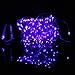 Homeleo 10M 100LED Battery Powered LED String Lights w/ Remote Mini Tiny LED Lamps on Flexible Thin Silver Wire Blinking Twinkle Steady On LED Starry Fairy Lighting(Remote,Purple)