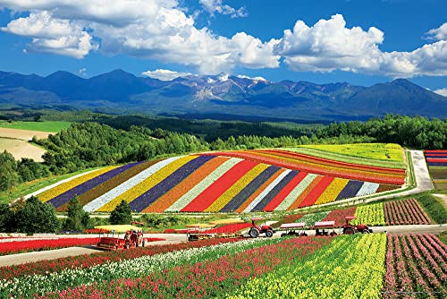 やのまん(Yanoman) 【日本製】1000ピース ジグソーパズル 日本の風景 四季彩の丘と十勝岳連峰(北海道) (50ｘ75cm) 10-1422 ピース請求ハガキ のり付き へら付き サービスカード付 ジグソーパズルのトリセツ付