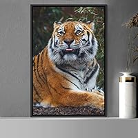 Framed Canvas Wall Art Tiger Animals Chic Dramatic Lion Living Room Multicolor Photography - 16x24 inches
