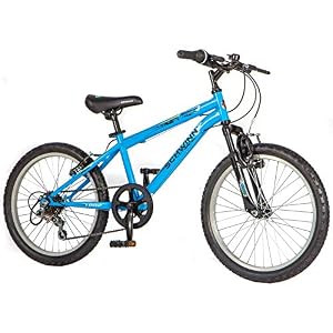 Schwinn Remix Kids Mountain Bike, 20-Inch Wheels, Lightweight Steel Smartstart Frame, Front Suspension, 6 Speed…