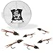 BH Copper John Fly Fishing Nymph Trout Fly Assortment - 6 Flies (Copper)