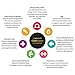 Solid Gold Indigo Moon Chicken Holistic Dry Cat Food, Chicken & Egg, Grain & Gluten Free, Cats & Kittens of All Life Stages, All Sizes, 4lb Bag