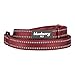 Blueberry Pet Essentials Durable 3M Reflective Classic Dog Leash 5 ft x 3/4