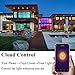 BoazSmart WiFi Smart GU10 Light Bulb,WiFi LED Spotlight Bulb Alexa and Google Home Voice Control,Smart Phone Remote Control Lamp TuyaSmart APP Light,Dimmable Bulb RGBW Color Changing 5W