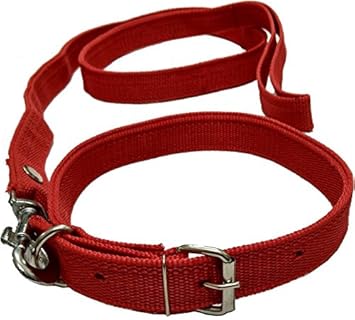 Sollar's Neck Collar Belts and Leash Set, Red, Medium