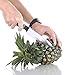 Silver Stainless Steel Pineapple De-Corer Peeler Stem Remover Blades for Diced Fruit...