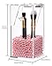 PuTwo Makeup Brush Holder Dustproof Acrylic Storage Box Makeup Organizer, Pink Pearl, Small, 37.39 Ounce