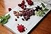 SKINNYDIPPED Dark Chocolate Raspberry Covered Almonds, 1.5 Ounce Bag, 10 Count