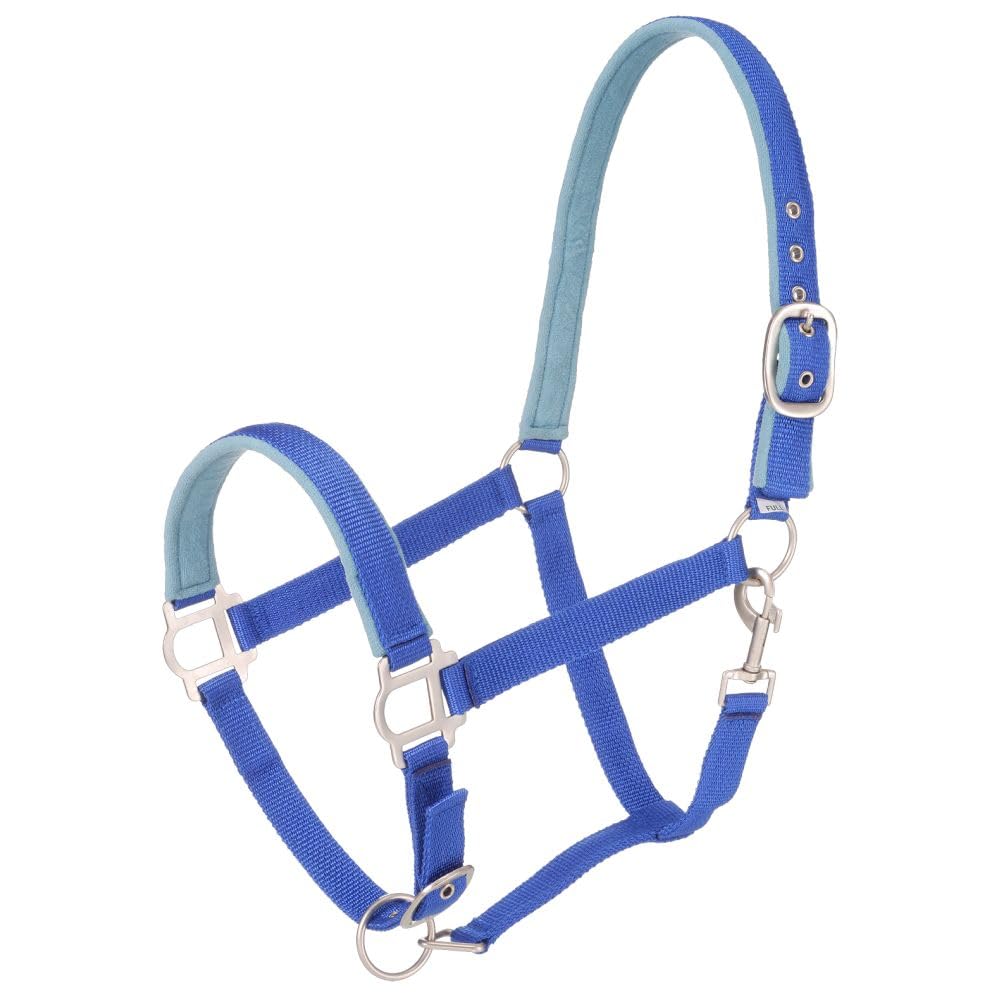 Tough 1 Nylon Padded Halter with Satin Hardware, Royal Blue, Pony