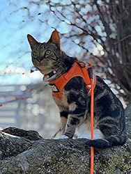 Travel Cat Harness and Leash Set - Adjustable