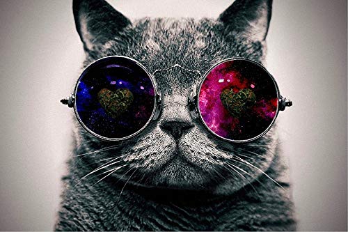 Gohipang Pop Art Creative Animals Canvas Oil Paintings Galaxy Glasses Cat Posters and Prints Wall Pictures for Bedroom Home Decoration(No Framed)
