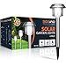 SOLVAO Solar Pathway Lights | Outdoor LED Lamps for Path, Yard, Walkway, Landscape | Halloween, Christmas, Fall Garden Decor | Holiday Accent Lighting w/Waterproof Decorative Stake Lights | Pack of 4