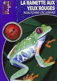 La  rainette aux yeux rouges