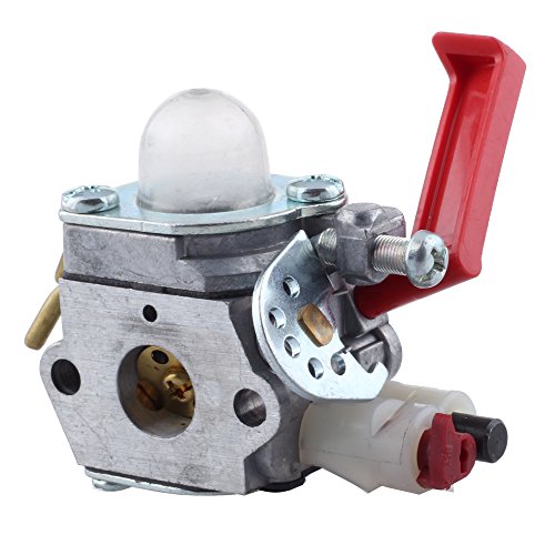 Carburateur pour Homelite B25C BC2500R D725CD D825SB F2020 F3040 F3050