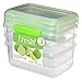Sistema Fresh Collection Food Storage Container, 33.8 oz./1 L, Clear/Lime Green, 3 Count