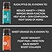 Pure Body Natural Essential Oils Set, 100% Pure Aromatherapy Diffuser Oils, Sample Kit for Beginners, Lavender, Tea Tree, Eucalyptus, Lemongrass, Orange, Peppermint - 10 Milliliter (6 Count)