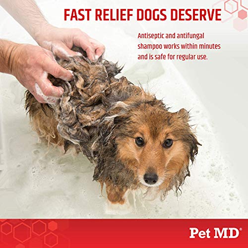 dog acne shampoo