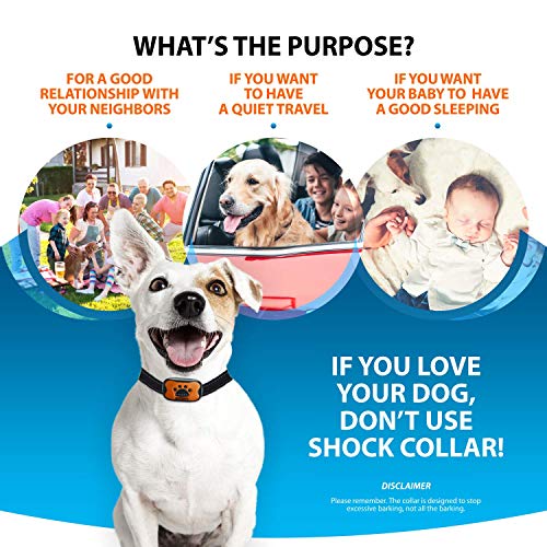 pet corrector collar