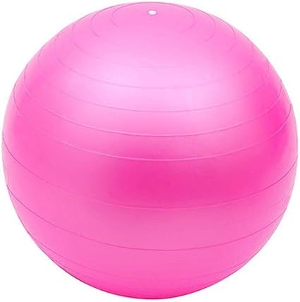 55CM Pelota Suiza o Gym Ball. Bola para Pilates, Yoga, Fitness ...