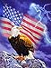 Guardians of Freedom 550 pc Jigsaw Puzzle by SunsOut