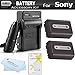 2 Pack Battery And Charger Kit For Sony Cyber-Shot DSC-HX100V, DSC-HX200V Digital Digital Camera Includes 2 Extended (1000mAh) Replacement NP-FH50 Batteries + Ac/Dc Rapid Travel Charger + LCD Screen Protectors + MicroFiber Cleaning Cloth