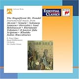 MAGNIFICENT MR HANDEL                              image
