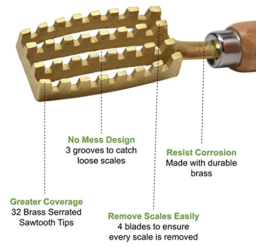 Kwizing-Made-in-Japan-Fish-Scaler-Brush-with-Brass-Serrated-Sawtooth-and-Ergonomic-Wooden-Handle-Easily-Remove-Fish-Scales-Without-Fuss-Or-Mess-Handcrafted-by-Japanese-Artisans