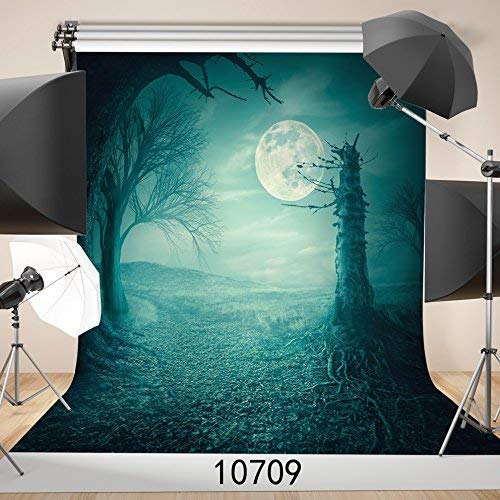 予約 ライト写真背景 ムーンナイトパンプキン 10x10フィート ハロウィン写真背景 スタジオ小道具 B07l5qlsmk バックペーパー背景布 App Acuteart Com