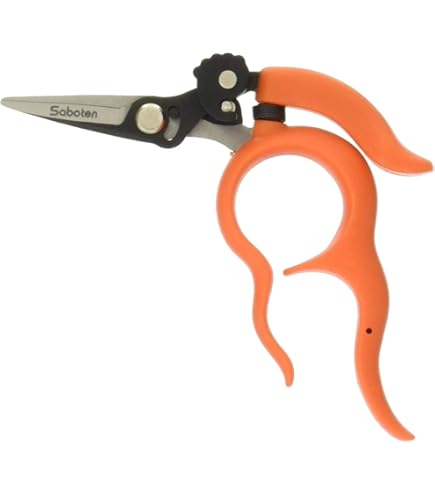 Amazon.com: Saboten Hold-free Stainless Steel Harvest