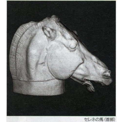 セレネの馬 首部 M B01 9333の買取価格 相場 高価買取なら買取一括比較のウリドキ