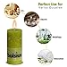 Bolsius Rustic Set of 6 Unscented Pillar Candles 2.75X5 Inch Lime Home Decoration Dripless Cotton Wick Dinner Candles Prefect for Parties, Restaurant, Spa, Church, Anniversary, (130x68mm)