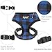 PUPTECK Soft Mesh Dog Harness with Leash - Plaid Adjustable Puppy No Pull Harnesses - Pet Padded Walking Vest Blue Small