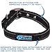 Max and Neo MAX Reflective Metal Buckle Dog Collar - We Donate a Collar to a Dog Rescue for Every Collar Sold (Large, Black)