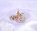 NYKKOLA 18k Rose Gold Plated Circle Halo Stud Earring with Crystal Valentine's Jewelry Gift