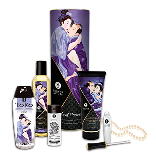 Shunga Carnal Pleasures Cosmetic Kit