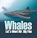 Whales - Let's Meet Mr. Big Fins: Whales Kids Book (Children's Fish & Marine Life Books) by Baby Professor